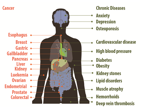 BodyDiseases