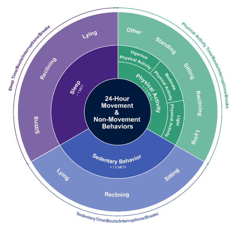 Sedentary Behavior Terminology